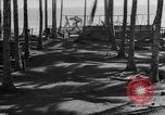 Image of 8th Fighter Group Leyte Philippines, 1944, second 41 stock footage video 65675068918