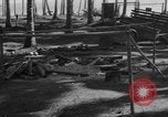 Image of 8th Fighter Group Leyte Philippines, 1944, second 44 stock footage video 65675068918