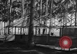 Image of 8th Fighter Group Leyte Philippines, 1944, second 54 stock footage video 65675068918