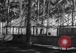 Image of 8th Fighter Group Leyte Philippines, 1944, second 55 stock footage video 65675068918