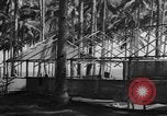 Image of 8th Fighter Group Leyte Philippines, 1944, second 58 stock footage video 65675068918