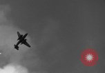 Standbild 8th Fighter Group Insel Morotai Indonesien, 1944, aus Sekunde 4 historischem Filmmaterial Videoclip 65675068919