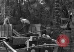 Standbild 8th Fighter Group Insel Morotai Indonesien, 1944, aus Sekunde 12 historischem Filmmaterial Videoclip 65675068919