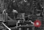 Standbild 8th Fighter Group Insel Morotai Indonesien, 1944, aus Sekunde 13 historischem Filmmaterial Videoclip 65675068919