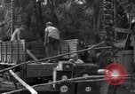 Standbild 8th Fighter Group Insel Morotai Indonesien, 1944, aus Sekunde 15 historischem Filmmaterial Videoclip 65675068919