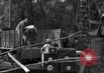 Standbild 8th Fighter Group Insel Morotai Indonesien, 1944, aus Sekunde 16 historischem Filmmaterial Videoclip 65675068919