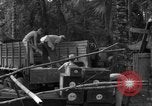 Standbild 8th Fighter Group Insel Morotai Indonesien, 1944, aus Sekunde 17 historischem Filmmaterial Videoclip 65675068919
