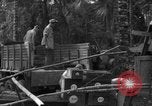 Standbild 8th Fighter Group Insel Morotai Indonesien, 1944, aus Sekunde 19 historischem Filmmaterial Videoclip 65675068919