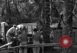 Standbild 8th Fighter Group Insel Morotai Indonesien, 1944, aus Sekunde 20 historischem Filmmaterial Videoclip 65675068919