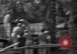 Standbild 8th Fighter Group Insel Morotai Indonesien, 1944, aus Sekunde 22 historischem Filmmaterial Videoclip 65675068919