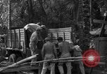 Standbild 8th Fighter Group Insel Morotai Indonesien, 1944, aus Sekunde 24 historischem Filmmaterial Videoclip 65675068919