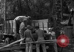 Standbild 8th Fighter Group Insel Morotai Indonesien, 1944, aus Sekunde 25 historischem Filmmaterial Videoclip 65675068919