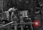 Standbild 8th Fighter Group Insel Morotai Indonesien, 1944, aus Sekunde 26 historischem Filmmaterial Videoclip 65675068919