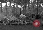 Standbild 8th Fighter Group Insel Morotai Indonesien, 1944, aus Sekunde 31 historischem Filmmaterial Videoclip 65675068919