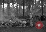 Standbild 8th Fighter Group Insel Morotai Indonesien, 1944, aus Sekunde 32 historischem Filmmaterial Videoclip 65675068919