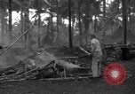 Standbild 8th Fighter Group Insel Morotai Indonesien, 1944, aus Sekunde 33 historischem Filmmaterial Videoclip 65675068919