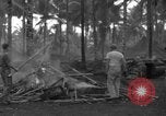 Standbild 8th Fighter Group Insel Morotai Indonesien, 1944, aus Sekunde 34 historischem Filmmaterial Videoclip 65675068919