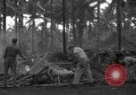 Standbild 8th Fighter Group Insel Morotai Indonesien, 1944, aus Sekunde 35 historischem Filmmaterial Videoclip 65675068919