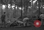 Standbild 8th Fighter Group Insel Morotai Indonesien, 1944, aus Sekunde 36 historischem Filmmaterial Videoclip 65675068919