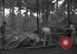 Standbild 8th Fighter Group Insel Morotai Indonesien, 1944, aus Sekunde 37 historischem Filmmaterial Videoclip 65675068919
