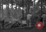 Standbild 8th Fighter Group Insel Morotai Indonesien, 1944, aus Sekunde 38 historischem Filmmaterial Videoclip 65675068919