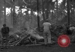 Standbild 8th Fighter Group Insel Morotai Indonesien, 1944, aus Sekunde 39 historischem Filmmaterial Videoclip 65675068919