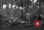 Standbild 8th Fighter Group Insel Morotai Indonesien, 1944, aus Sekunde 40 historischem Filmmaterial Videoclip 65675068919