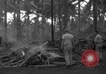 Standbild 8th Fighter Group Insel Morotai Indonesien, 1944, aus Sekunde 41 historischem Filmmaterial Videoclip 65675068919