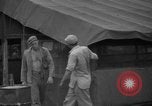 Standbild 8th Fighter Group Insel Morotai Indonesien, 1944, aus Sekunde 46 historischem Filmmaterial Videoclip 65675068919
