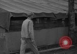 Standbild 8th Fighter Group Insel Morotai Indonesien, 1944, aus Sekunde 49 historischem Filmmaterial Videoclip 65675068919