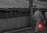 Standbild 8th Fighter Group Insel Morotai Indonesien, 1944, aus Sekunde 51 historischem Filmmaterial Videoclip 65675068919