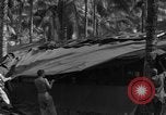 Standbild 8th Fighter Group Insel Morotai Indonesien, 1944, aus Sekunde 53 historischem Filmmaterial Videoclip 65675068919