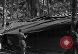 Standbild 8th Fighter Group Insel Morotai Indonesien, 1944, aus Sekunde 54 historischem Filmmaterial Videoclip 65675068919
