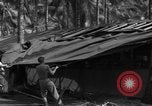 Standbild 8th Fighter Group Insel Morotai Indonesien, 1944, aus Sekunde 55 historischem Filmmaterial Videoclip 65675068919