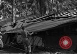 Standbild 8th Fighter Group Insel Morotai Indonesien, 1944, aus Sekunde 56 historischem Filmmaterial Videoclip 65675068919