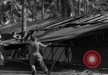 Standbild 8th Fighter Group Insel Morotai Indonesien, 1944, aus Sekunde 57 historischem Filmmaterial Videoclip 65675068919