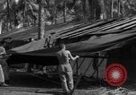 Standbild 8th Fighter Group Insel Morotai Indonesien, 1944, aus Sekunde 59 historischem Filmmaterial Videoclip 65675068919