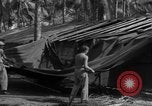 Standbild 8th Fighter Group Insel Morotai Indonesien, 1944, aus Sekunde 60 historischem Filmmaterial Videoclip 65675068919