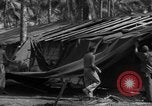 Standbild 8th Fighter Group Insel Morotai Indonesien, 1944, aus Sekunde 61 historischem Filmmaterial Videoclip 65675068919