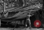 Standbild 8th Fighter Group Insel Morotai Indonesien, 1944, aus Sekunde 62 historischem Filmmaterial Videoclip 65675068919