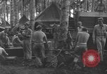 Image of 8th Fighter Group Morotai Island Indonesia, 1944, second 7 stock footage video 65675068921