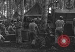 Image of 8th Fighter Group Morotai Island Indonesia, 1944, second 8 stock footage video 65675068921