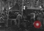 Image of 8th Fighter Group Morotai Island Indonesia, 1944, second 9 stock footage video 65675068921