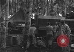 Image of 8th Fighter Group Morotai Island Indonesia, 1944, second 10 stock footage video 65675068921