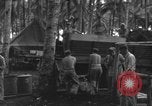 Image of 8th Fighter Group Morotai Island Indonesia, 1944, second 11 stock footage video 65675068921