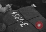 Image of 8th Fighter Group Morotai Island Indonesia, 1944, second 14 stock footage video 65675068921