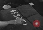 Image of 8th Fighter Group Morotai Island Indonesia, 1944, second 20 stock footage video 65675068921