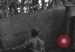 Image of 8th Fighter Group Morotai Island Indonesia, 1944, second 24 stock footage video 65675068921