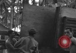 Image of 8th Fighter Group Morotai Island Indonesia, 1944, second 25 stock footage video 65675068921