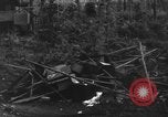 Image of 8th Fighter Group Morotai Island Indonesia, 1944, second 28 stock footage video 65675068921